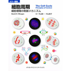 細胞周期　カラー図説　細胞増殖の制御メカニズム
