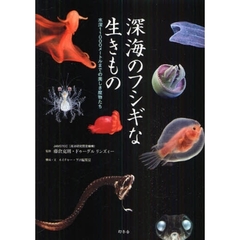 深海のフシギな生きもの　水深１１０００メートルまでの美しき魔物たち