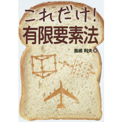 これだけ！有限要素法