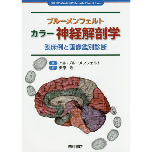 ブルーメンフェルト カラー神経解剖学 臨床例と画像鑑別診断 通販