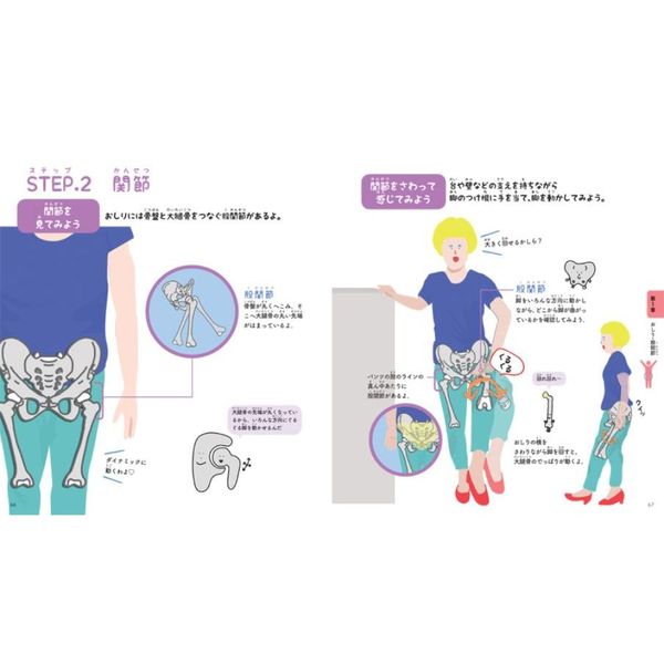 二冊】からだと筋肉のしくみ 世界一ゆる～いイラスト解剖学、カラダの