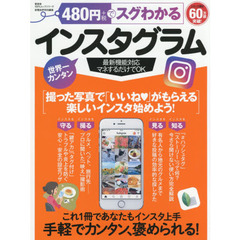 480円でスグわかるインスタグラム (100%ムックシリーズ)
