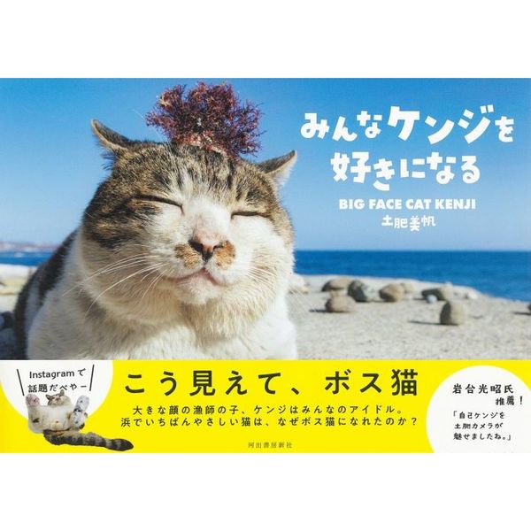 みんなケンジを好きになる ＢＩＧ ＦＡＣＥ ＣＡＴ ＫＥＮＪＩ 通販 