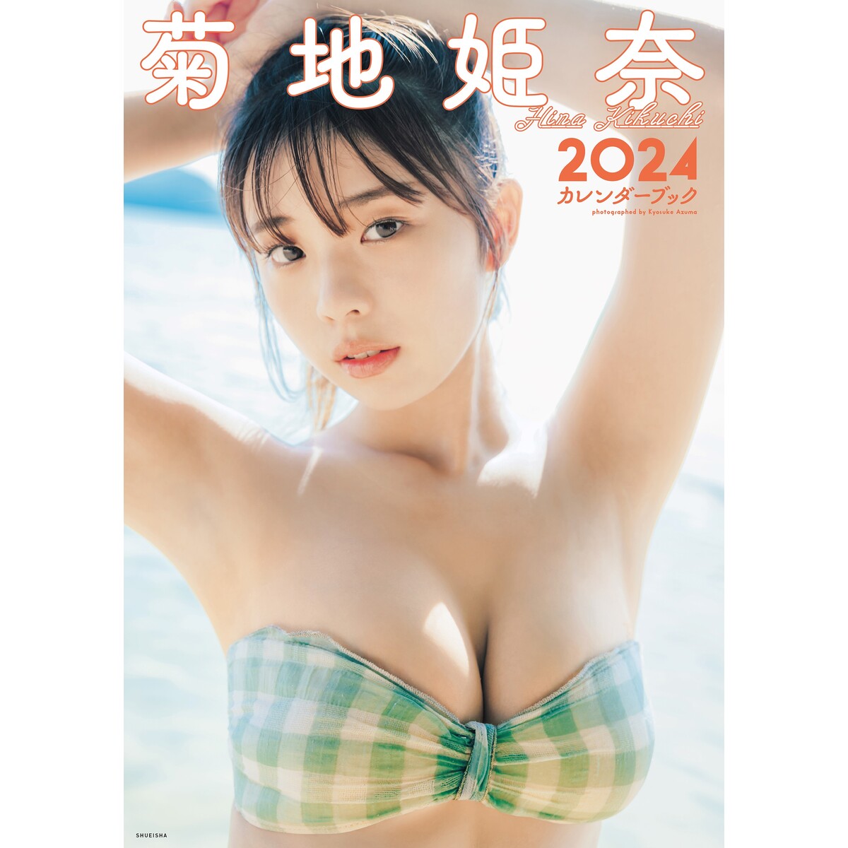 プレイボーイ 2023年 12月18日号 菊地姫奈 DVD チェキ応募券 付き