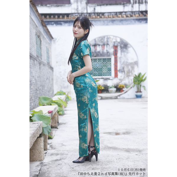 美品　東洋蘭専門誌　東洋蘭　専門雑誌　田中義一　東洋蘭朋友社　コンプリート 美品 東洋蘭専門誌 東洋蘭 専門雑誌 田中義一 東洋蘭朋友社