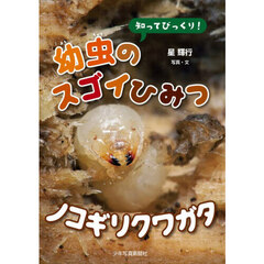 知ってびっくり！幼虫のスゴイひみつノコギリクワガタ