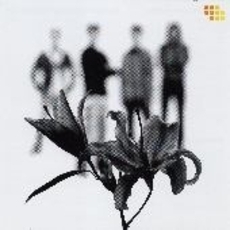 ֥ͥåȥåԥ󥰤㤨LilyפβǤʤ1,100ߤˤʤޤ