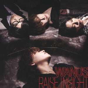 WANDS／RAISE INSIGHT（通常盤／CD+Blu-ray） 通販｜セブンネットショッピング