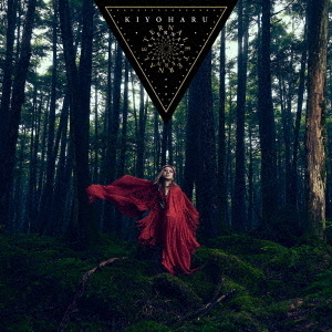 ֥ͥåȥåԥ󥰤㤨աETERNAL̾סCDˡפβǤʤ3,300ߤˤʤޤ