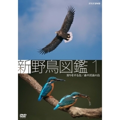 新 野鳥図鑑 第1集 狩をする鳥／森や渓流の鳥（ＤＶＤ）