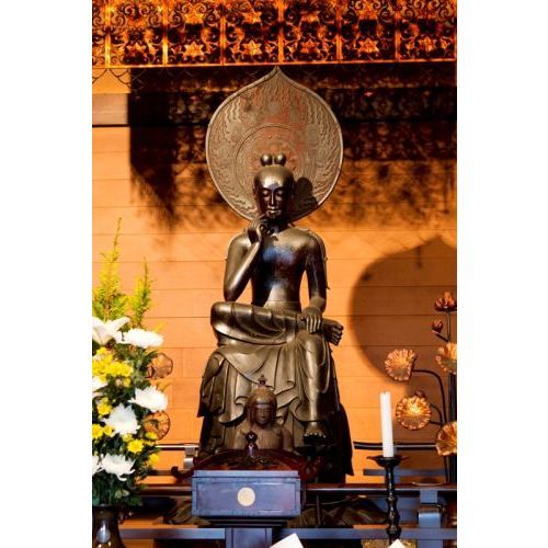 Amazon.co.jp: TV見仏記なんと10周年記念スペシャル！新TV見仏記