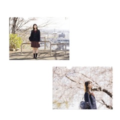 映画『世の中にたえて桜のなかりせば』オリジナルクリアファイル2枚セット＜セブンネット限定＞（ムビチケカード型前売券無し）