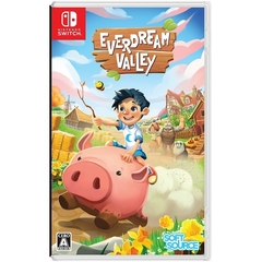 Nintendo Switch　Everdream Valley