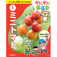 ミニトマト：マンガと写真でよくわかる