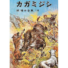 カガミジシ