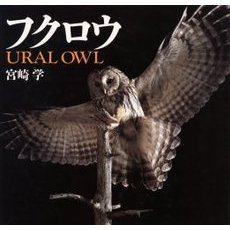 フクロウ