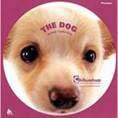 ＤＶＤ　ＴＨＥ　ＤＯＧ　チワワ