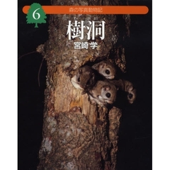 森の写真動物記　６　樹洞