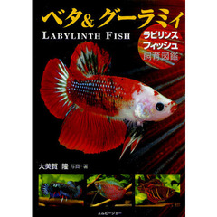 ベタ＆グーラミィ　ラビリンスフィッシュ飼育図鑑