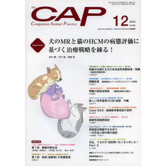 ＣＡＰ　２９４