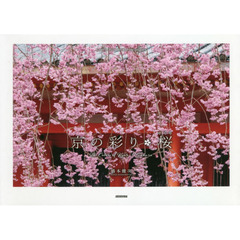 京の彩り・桜