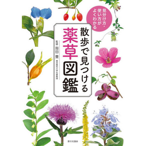 散歩で見つける薬草図鑑 見分け方・使い方がよくわかる 通販