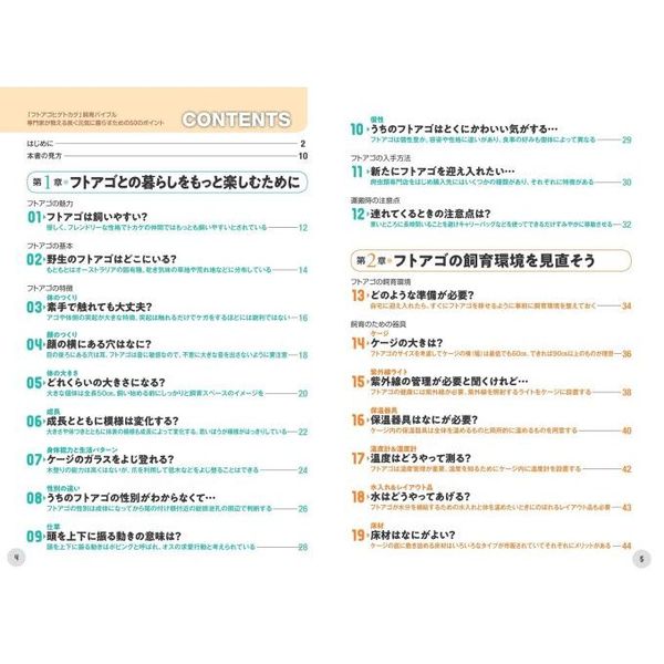 るるこ様専用】フトアゴヒゲトカゲ飼育セット①② フトアゴヒゲトカゲ