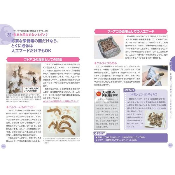 フトアゴヒゲトカゲ 飼育バイブル 専門家が教える長く元気に暮らすための のポイント 通販
