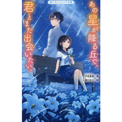 あの星が降る丘で、君とまた出会いたい。