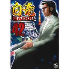 白竜ＨＡＤＯＵ　４２