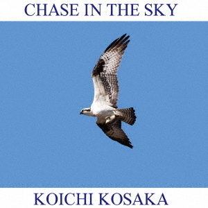֥ͥåȥåԥ󥰤㤨CHASEINTHESKYפβǤʤ2,016ߤˤʤޤ