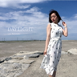 ֥ͥåȥåԥ󥰤㤨DAYLIGHTפβǤʤ1,100ߤˤʤޤ