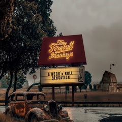 ザ・ファイアボール・モンキーズ／ロックンロール・センセーション（CD）