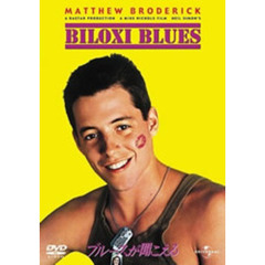ブルースが聞こえる（ＤＶＤ）