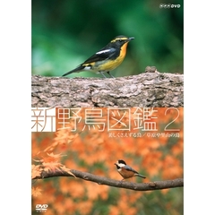 新 野鳥図鑑 第2集 美しくさえずる鳥／草原や里山の鳥（ＤＶＤ）