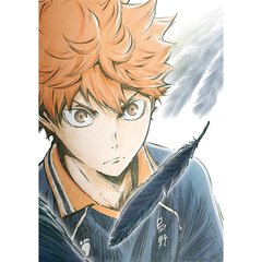 ハイキュー!! 烏野高校 VS 白鳥沢学園高校 Vol.1（Ｂｌｕ－ｒａｙ）