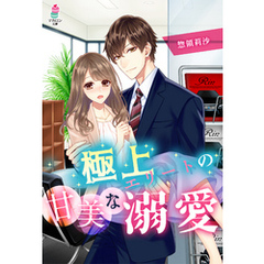 極上エリートの甘美な溺愛