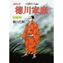 徳川家康　コミック　１５　日輪の章