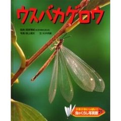 ドキドキいっぱい！虫のくらし写真館　２１　ウスバカゲロウ