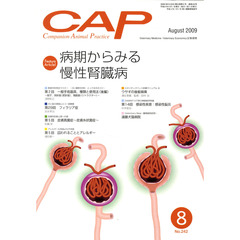 ＣＡＰ　２４２