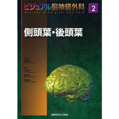 ビジュアル脳神経外科　２　側頭葉・後頭葉