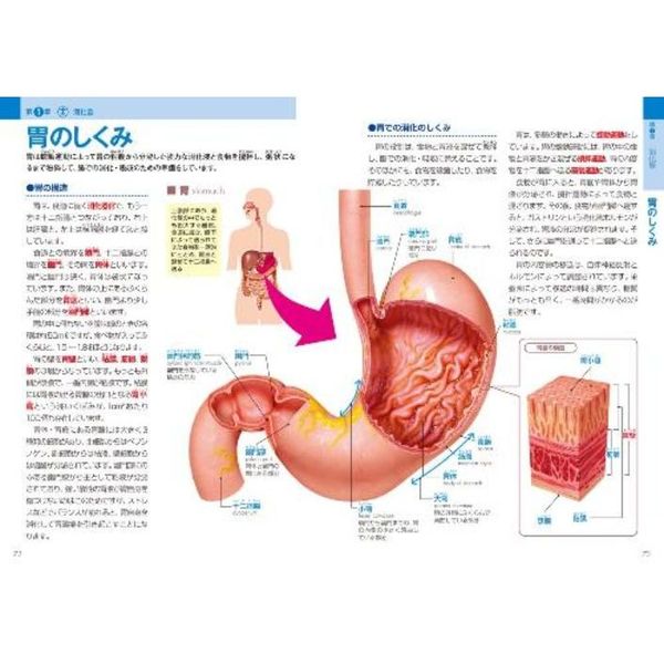 プロが教える人体のすべてがわかる本 各器官の構造と機能から、注目の最新医療まで 通販｜セブンネットショッピング