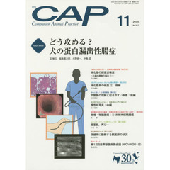 ＣＡＰ　３１７