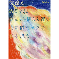 彷徨え、あるいはジェット機より速い鳥に似たヤツの影を追え