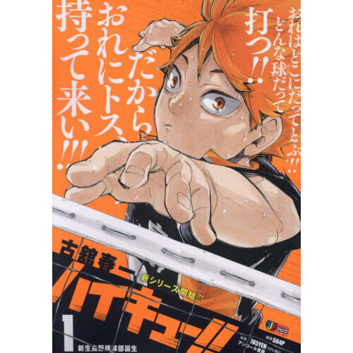 小説全巻ハイキュー 漫画 小説全巻 ハイカラ!! 排球極 シュリンク付