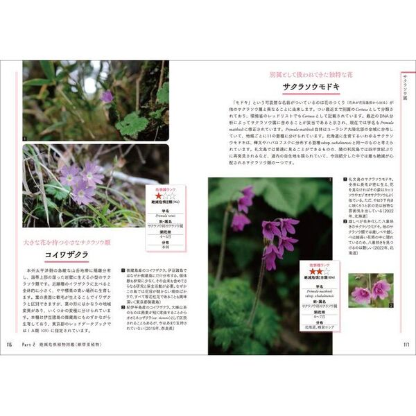 さらに知っておきたい日本の絶滅危惧植物図鑑　通販｜セブンネットショッピング