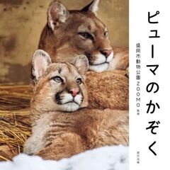 ピューマのかぞく