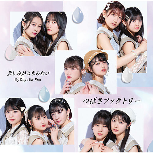 ֥ͥåȥåԥ󥰤㤨֤ĤФեȥ꡼My Days for You/ᤷߤȤޤʤ̾BCDˡפβǤʤ1,300ߤˤʤޤ