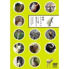 動物チラリズム －カメラ目線動物写真DVD－（ＤＶＤ）