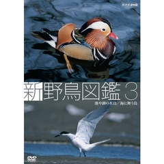 新 野鳥図鑑 第3集 池や湖の水鳥／海に舞う鳥（ＤＶＤ）